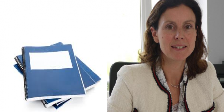 Rapport Lecocq